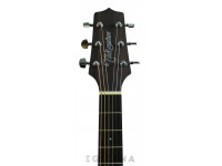 Takamine GN20CE-N Takamine GN20CE-N